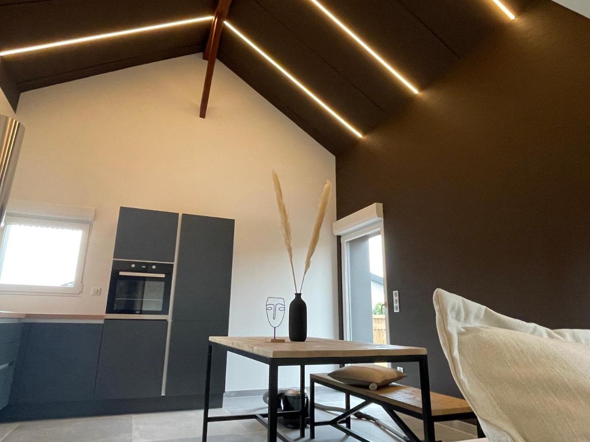 Gite Spa L'Atelier Emile - Spa Privatif - 5 Min Colmar Sainte-Croix-en-Plaine Bagian luar foto